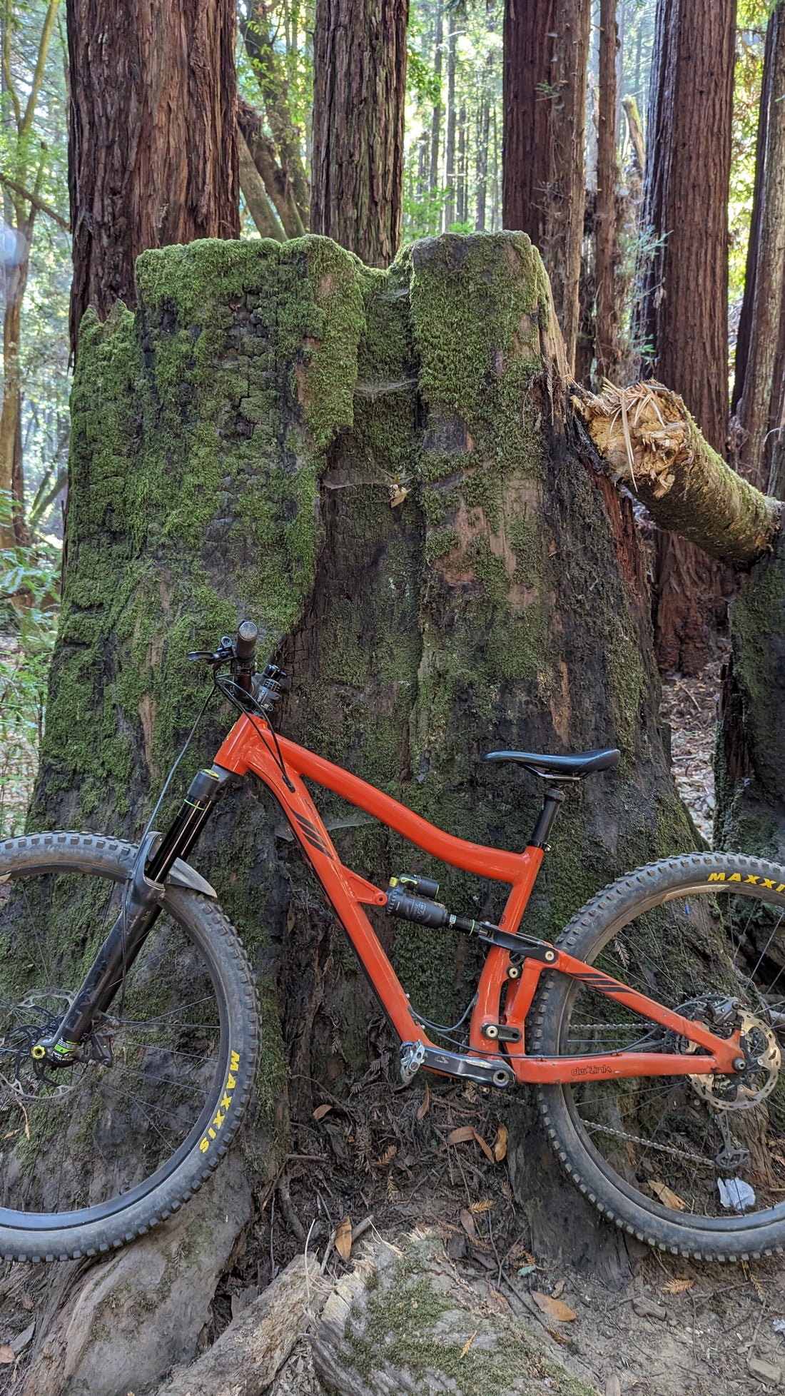 Transitioning from Mountain Biking to Skiing and Snowboarding Season