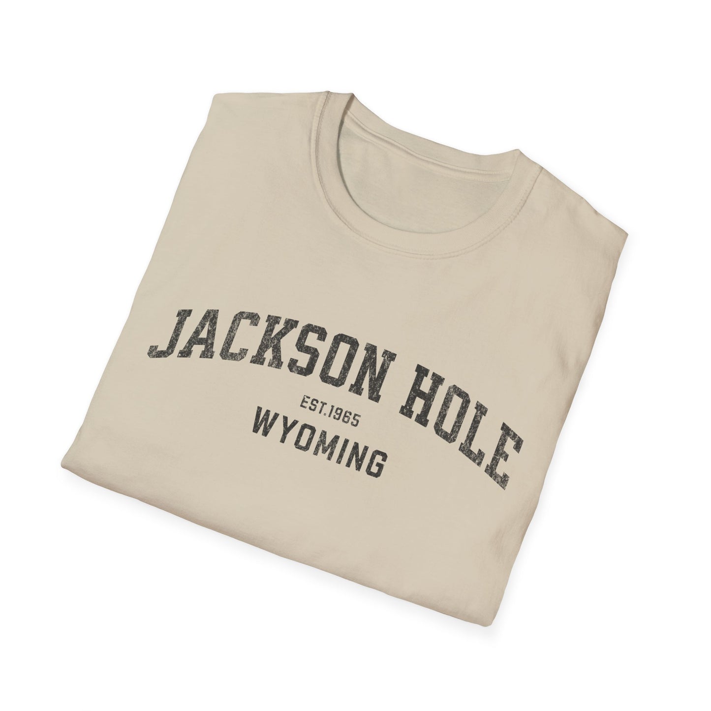 Jackson Hole Distressed Ski T-Shirt