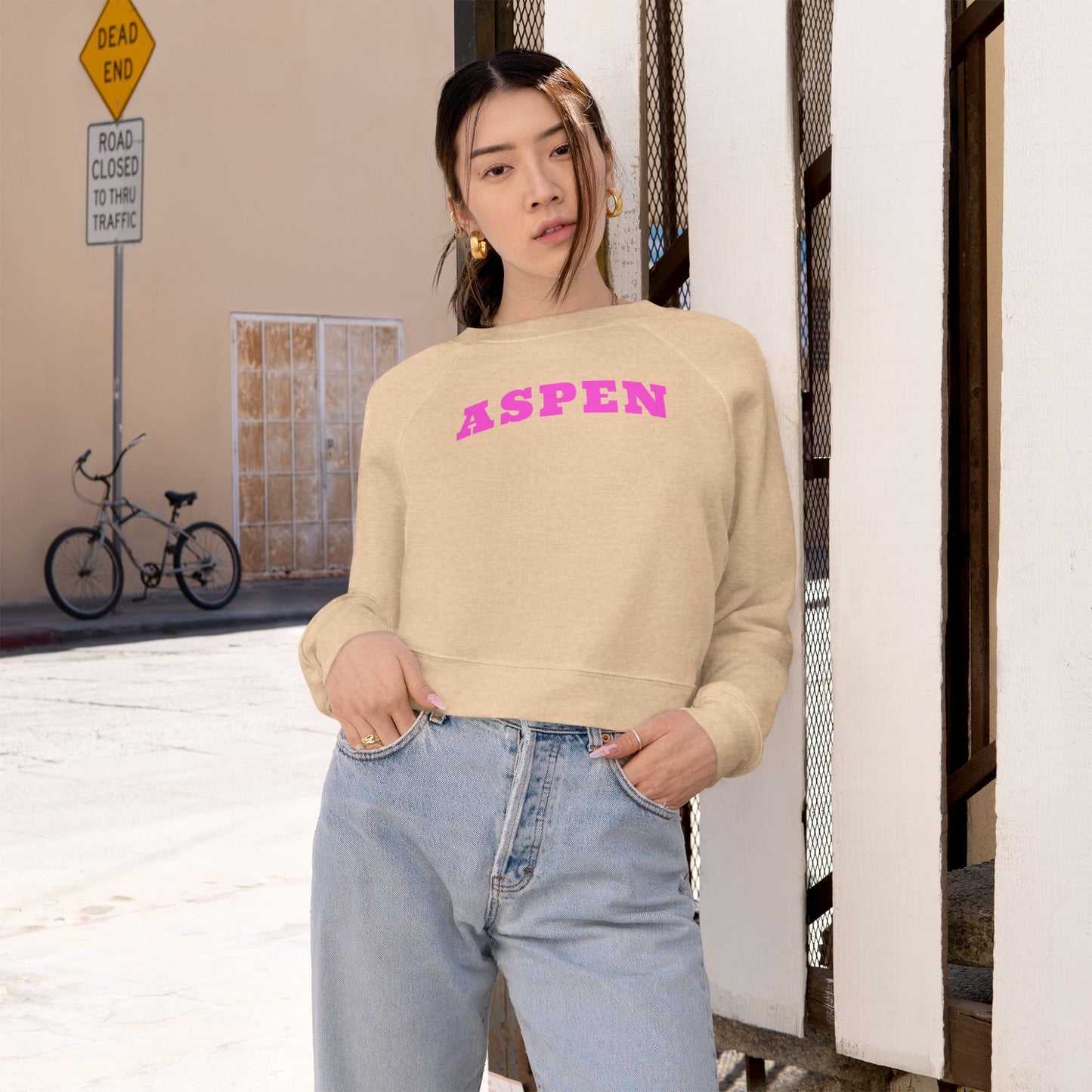 Aspen Colorado Cropped Hoodie