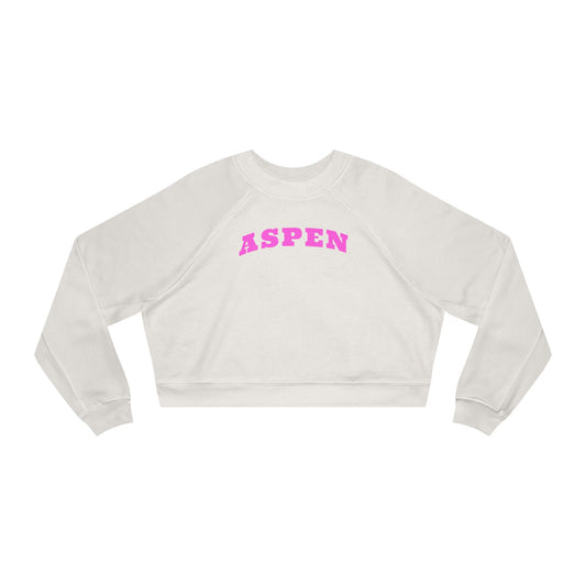 Aspen Colorado Cropped Hoodie