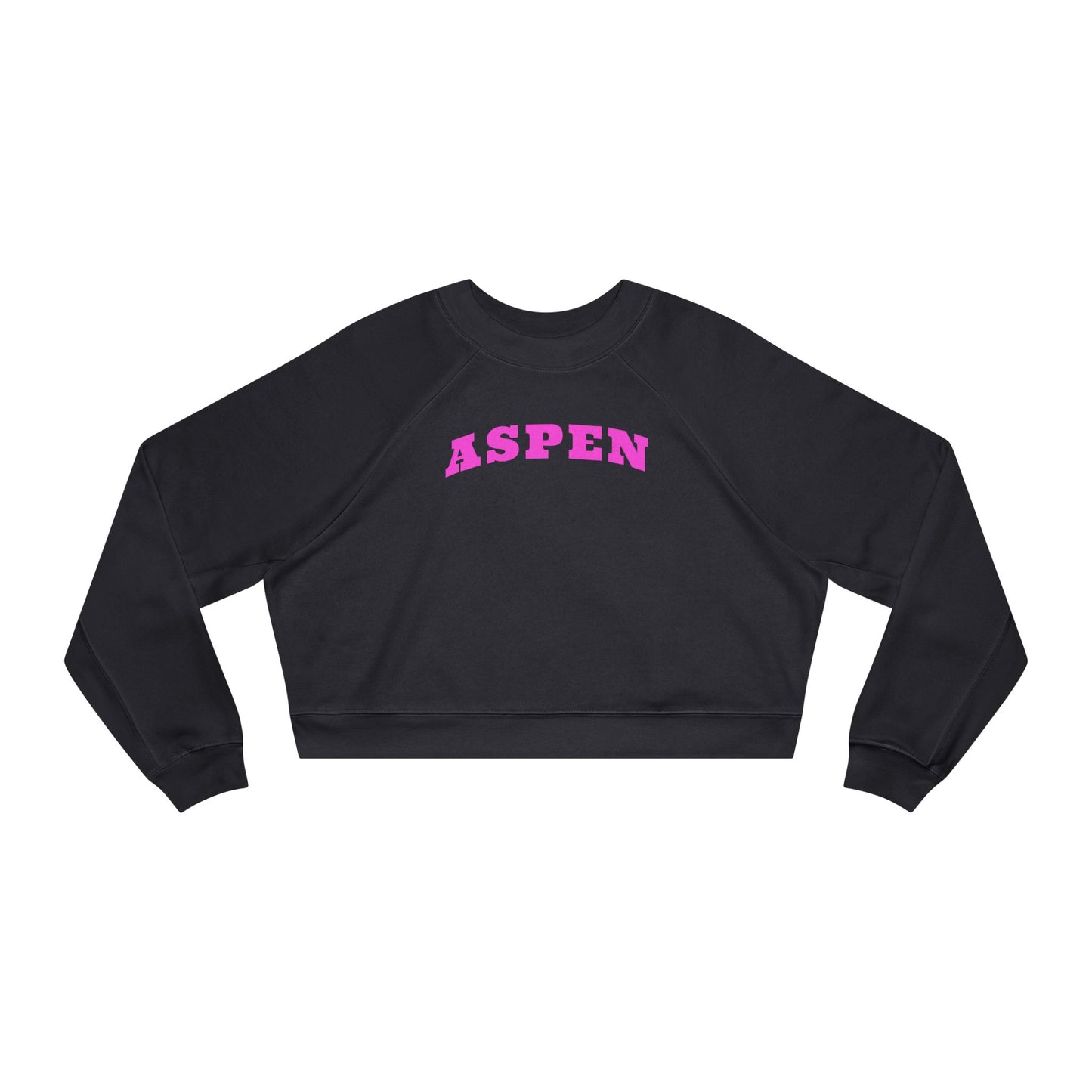 Aspen Colorado Cropped Hoodie