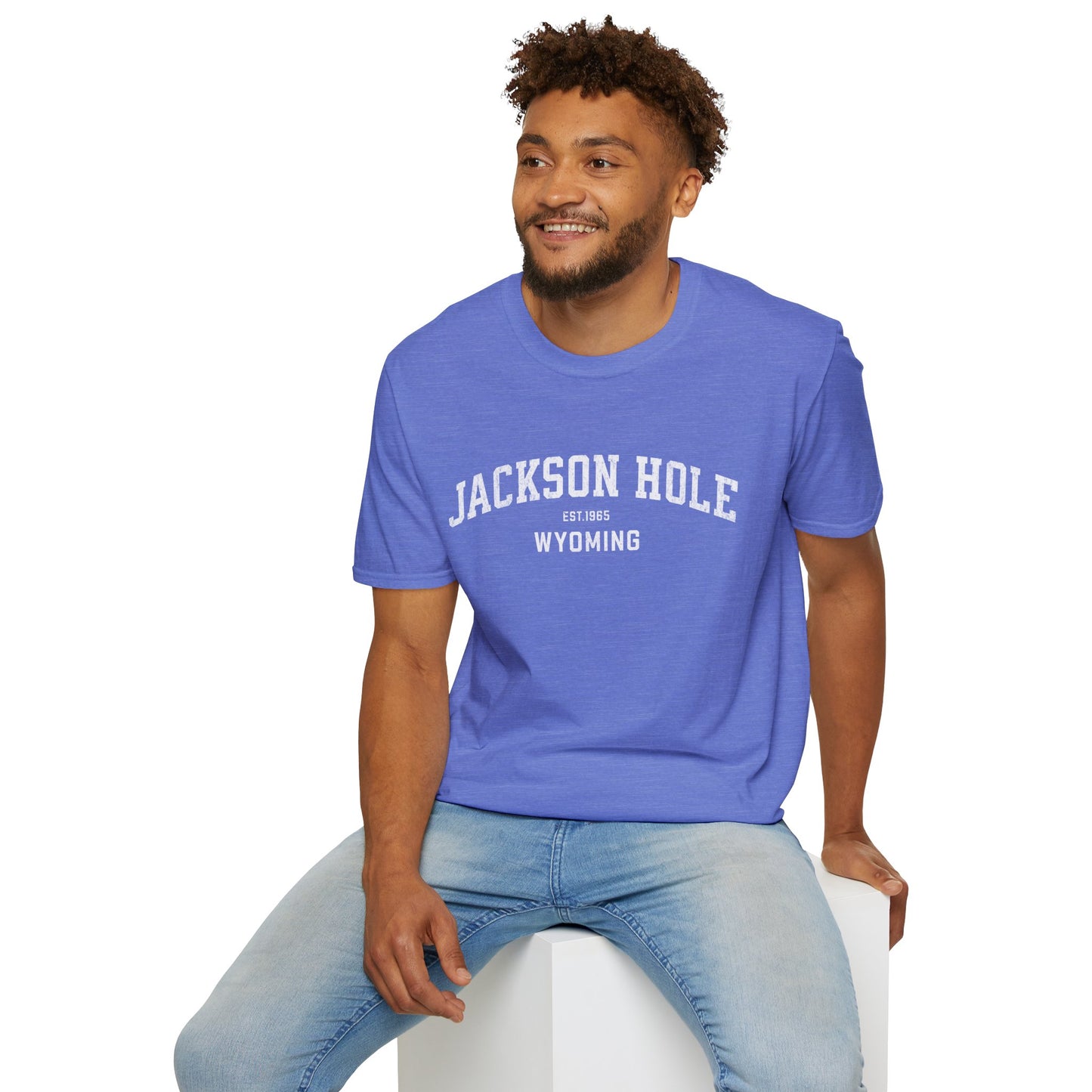 Jackson Hole Distressed Ski T-Shirt