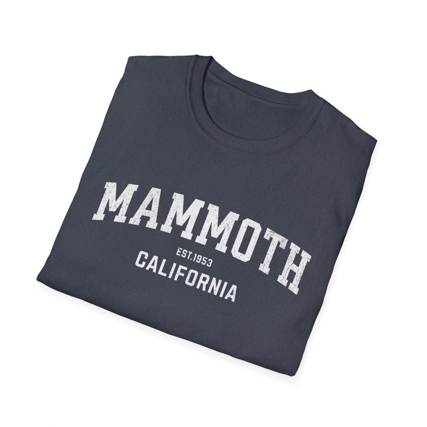 Mammoth Distressed Ski T-Shirt