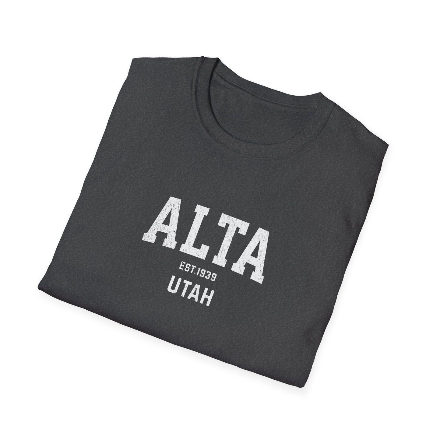 Alta Distressed Ski T-Shirt