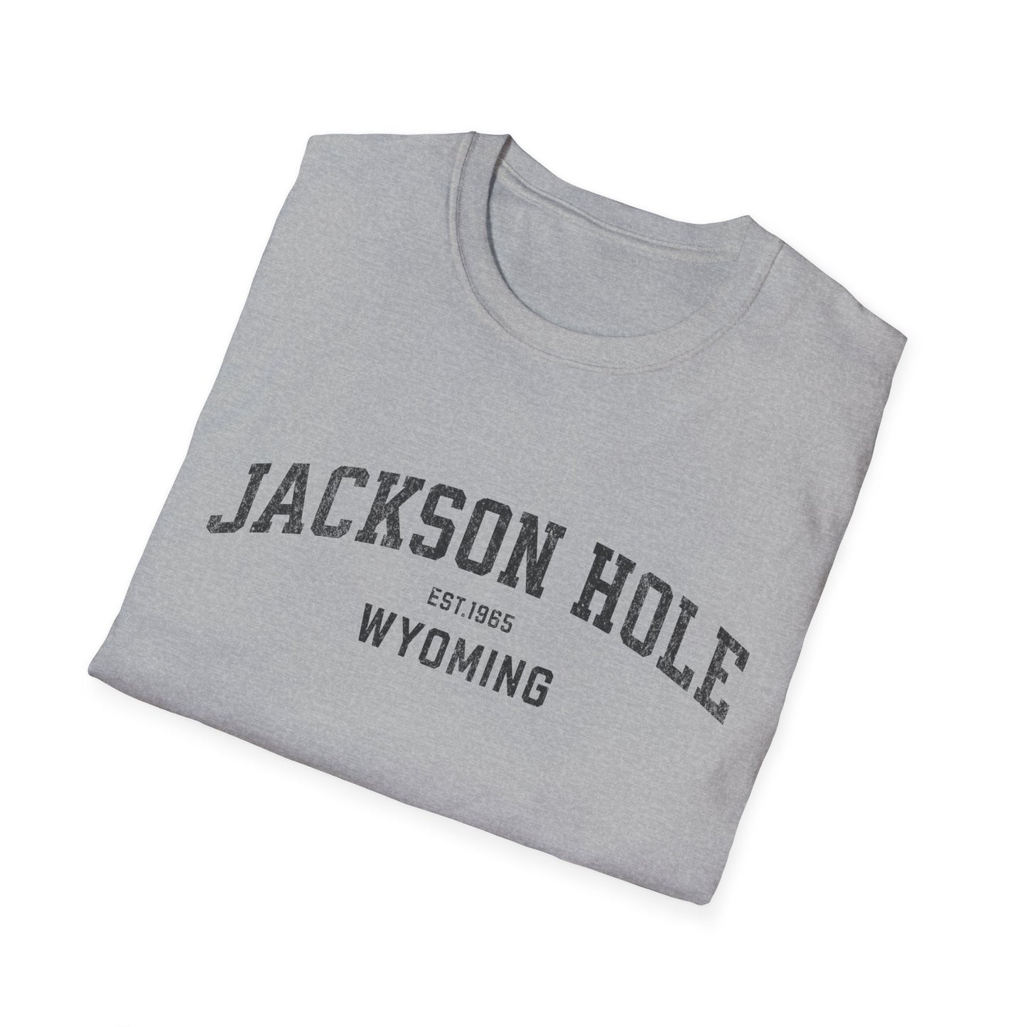 Jackson Hole Distressed Ski T-Shirt