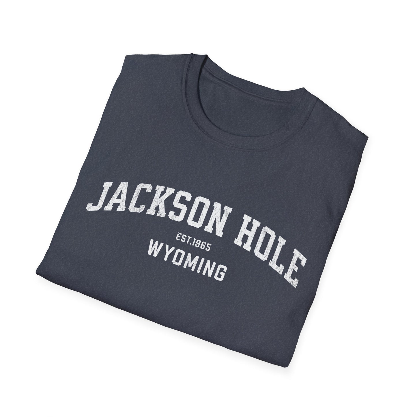 Jackson Hole Distressed Ski T-Shirt