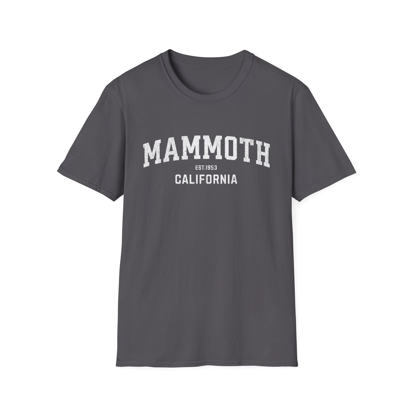 Mammoth Distressed Ski T-Shirt