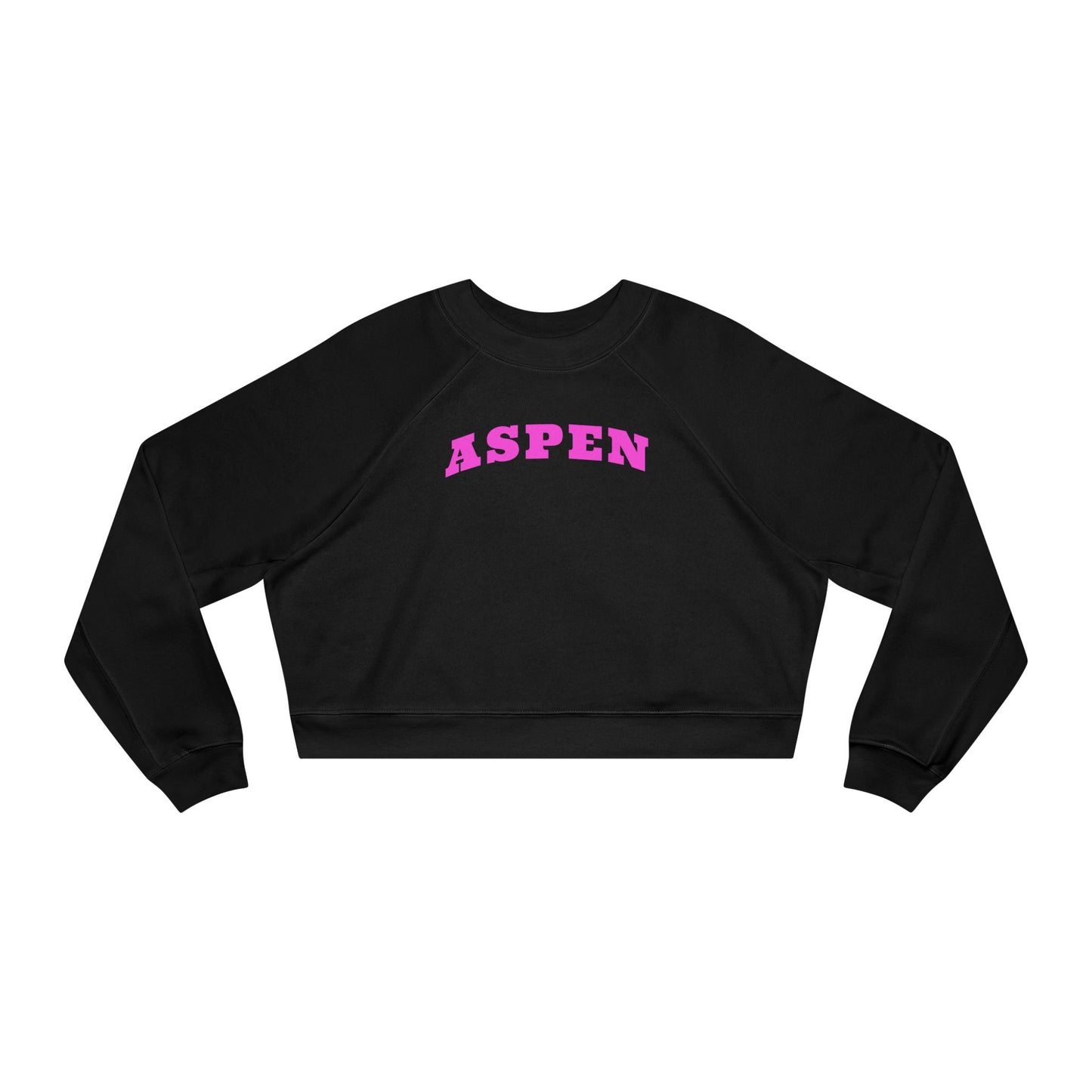 Aspen Colorado Cropped Hoodie