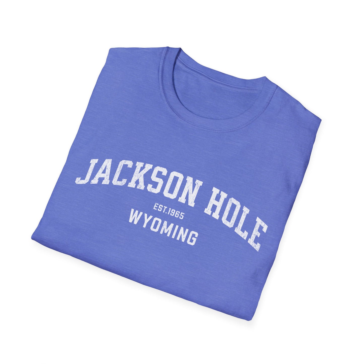 Jackson Hole Distressed Ski T-Shirt