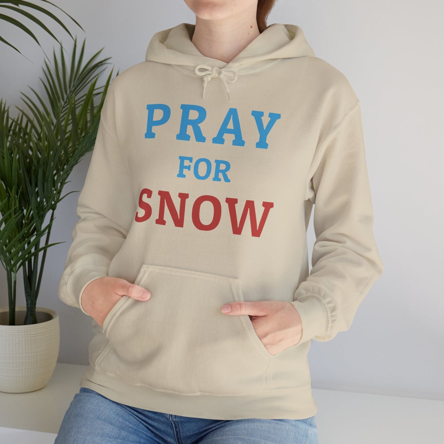 Pray For Snow Hooded Sweatshirt