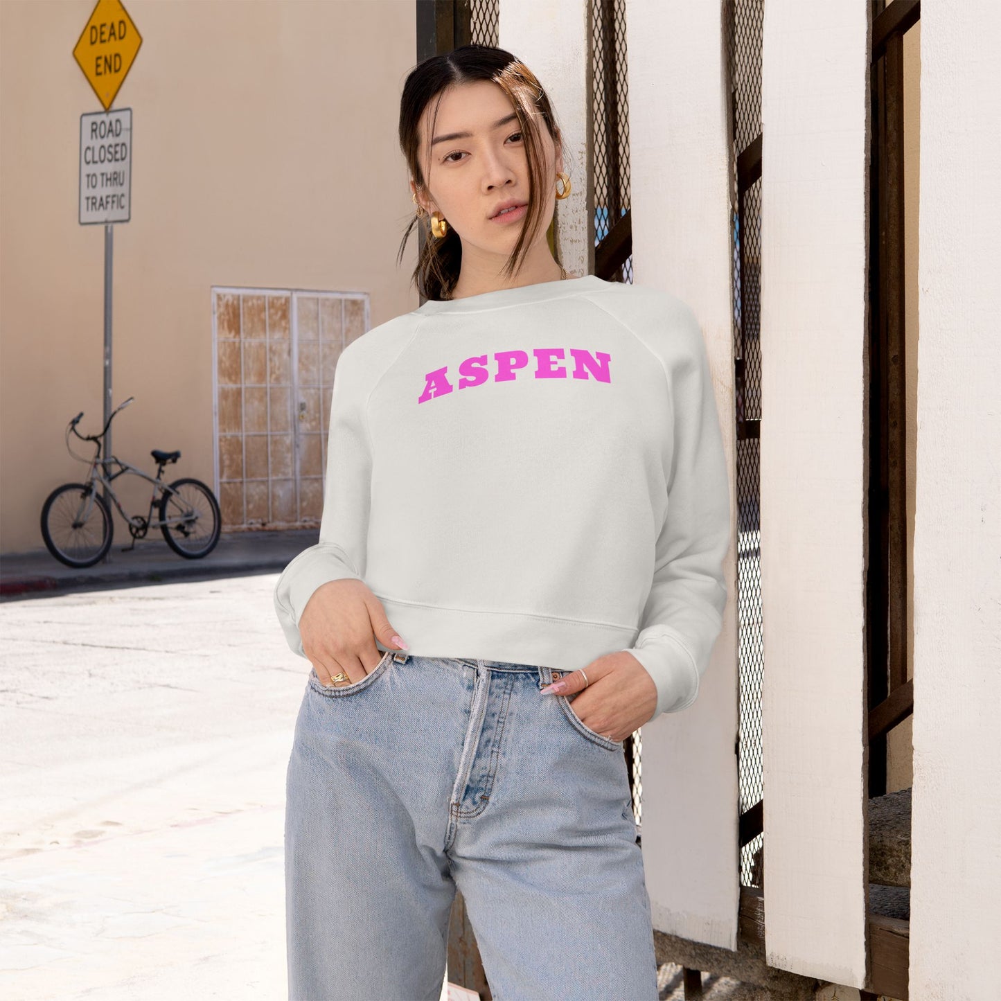 Aspen Colorado Cropped Hoodie