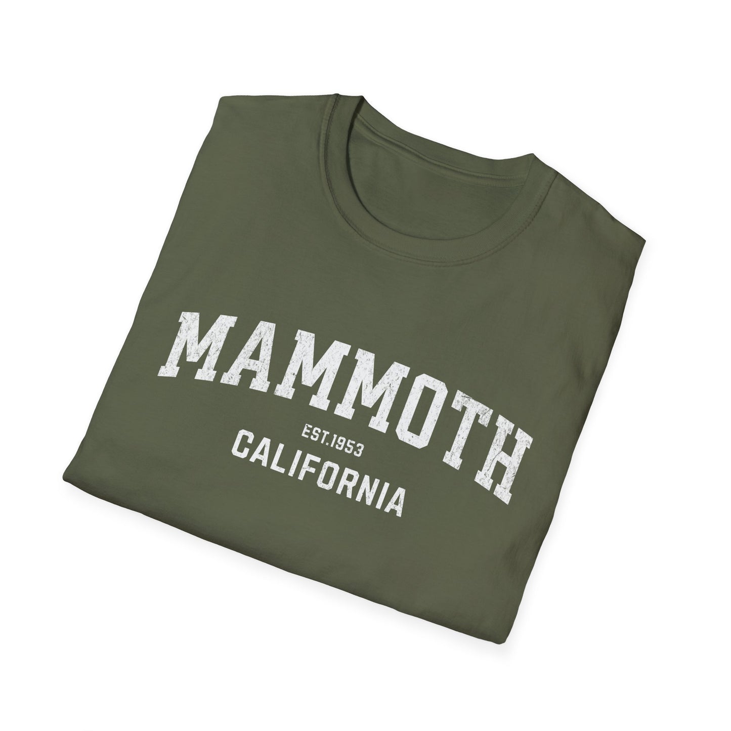 Mammoth Distressed Ski T-Shirt