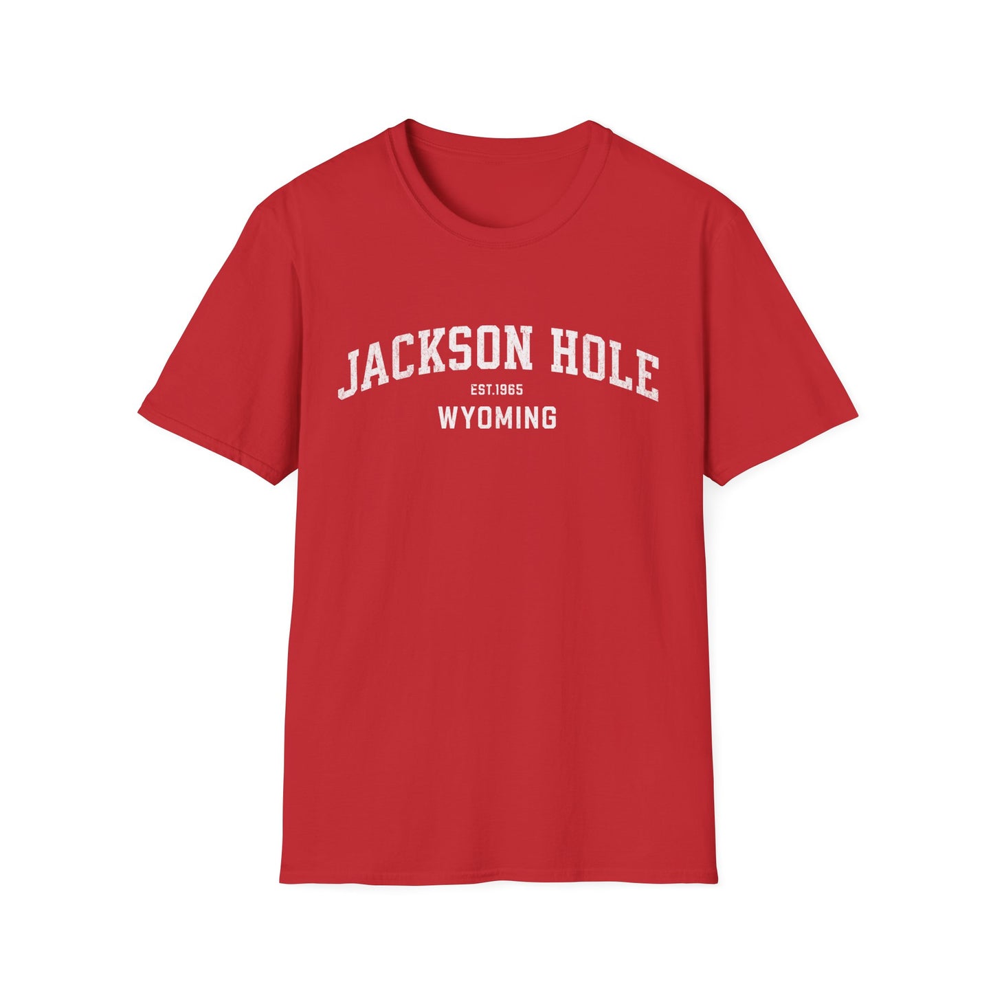 Jackson Hole Distressed Ski T-Shirt