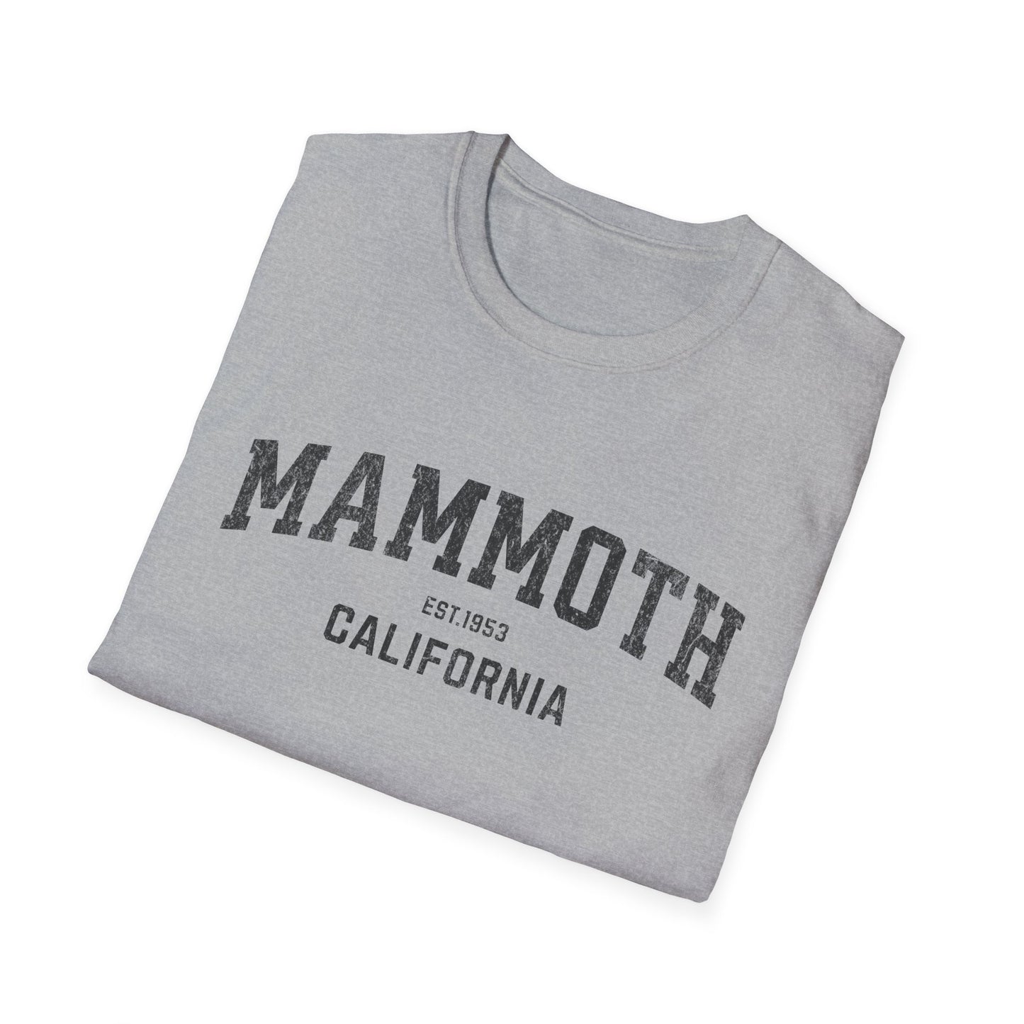 Mammoth Distressed Ski T-Shirt