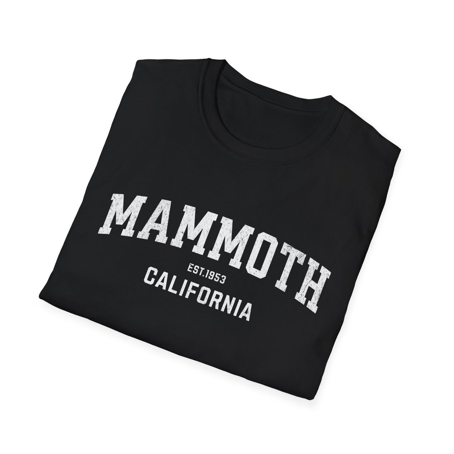 Mammoth Distressed Ski T-Shirt
