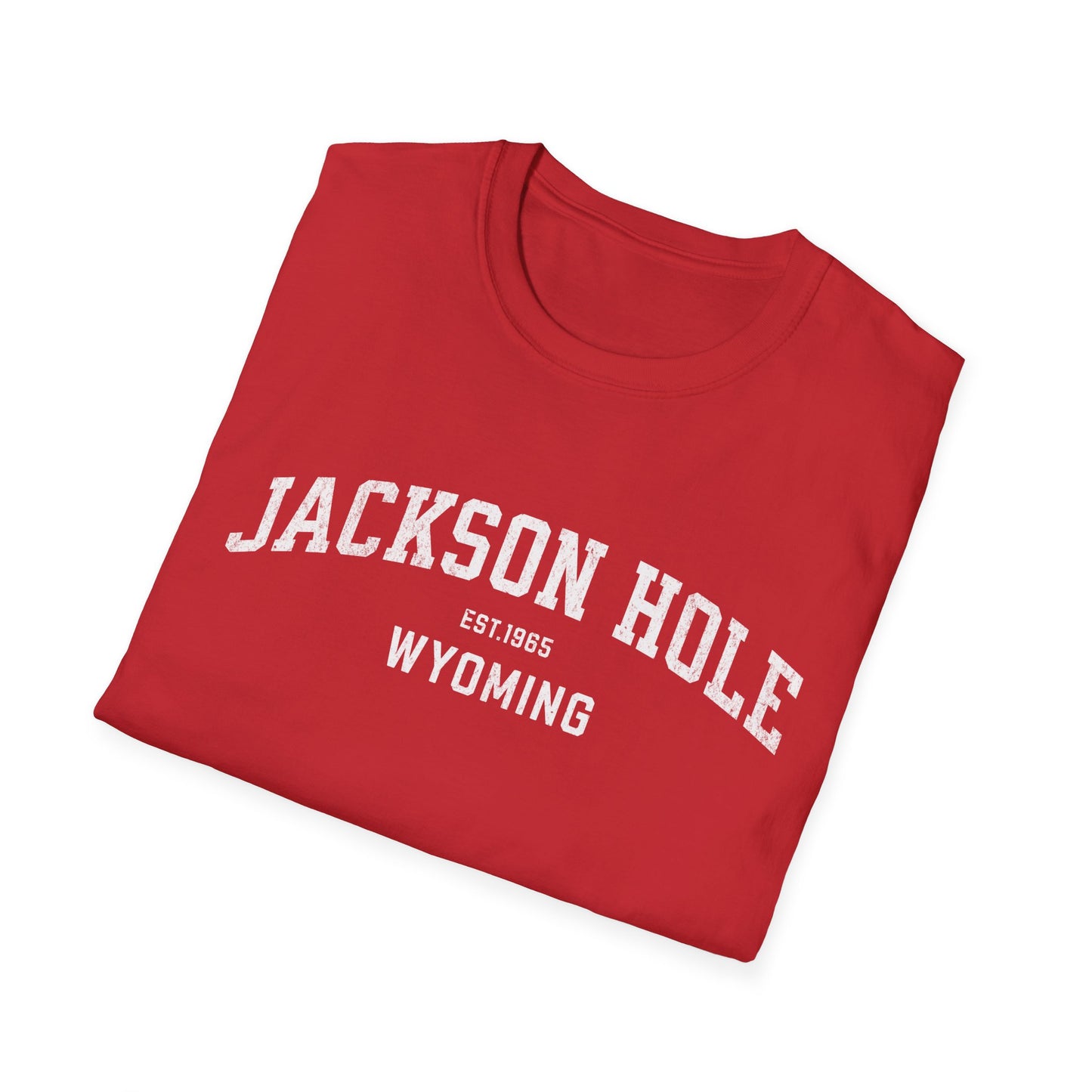 Jackson Hole Distressed Ski T-Shirt