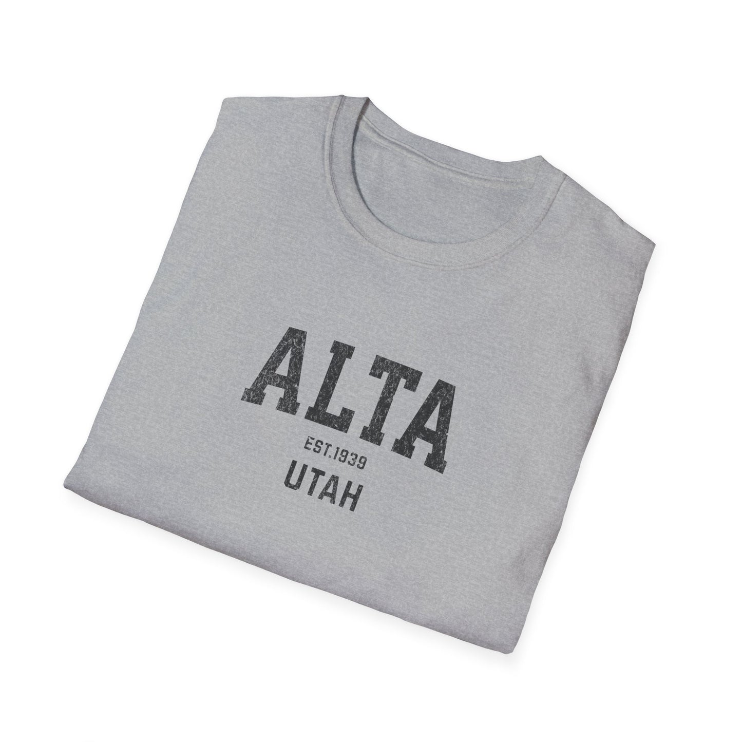 Alta Distressed Ski T-Shirt