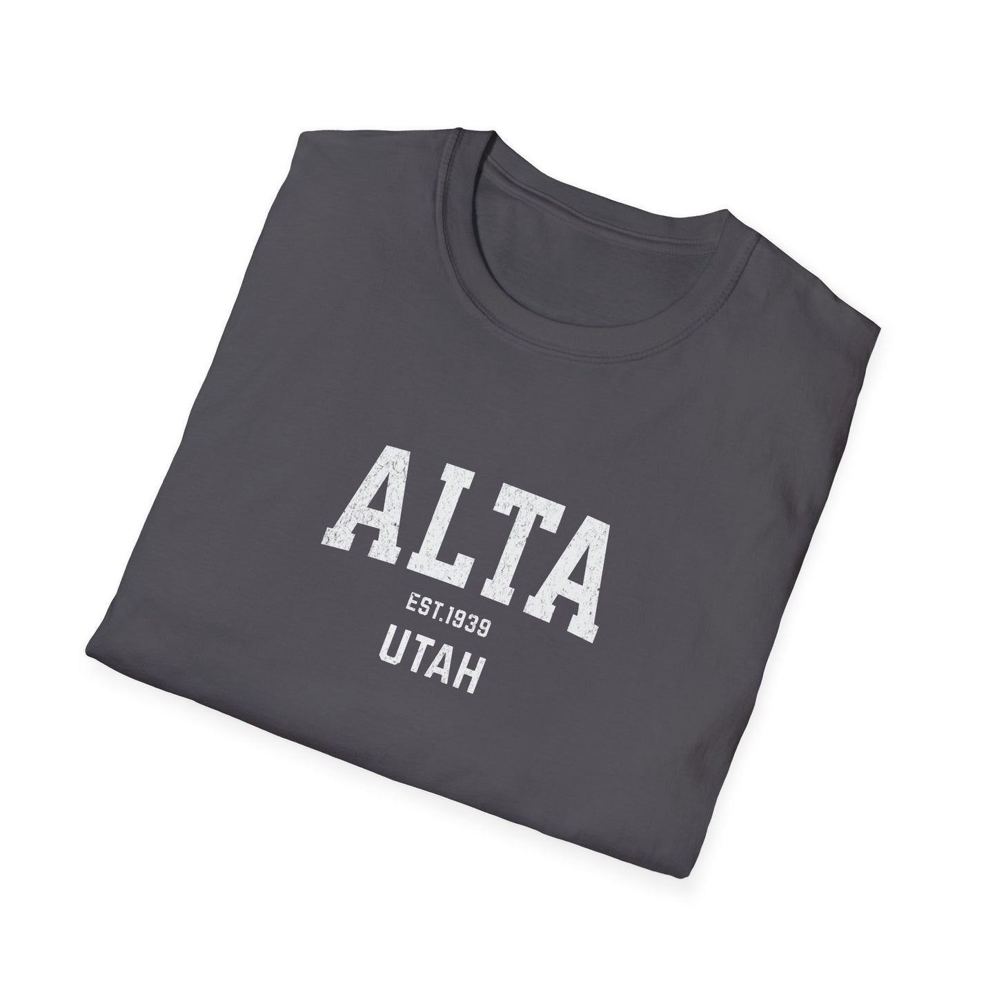 Alta Distressed Ski T-Shirt