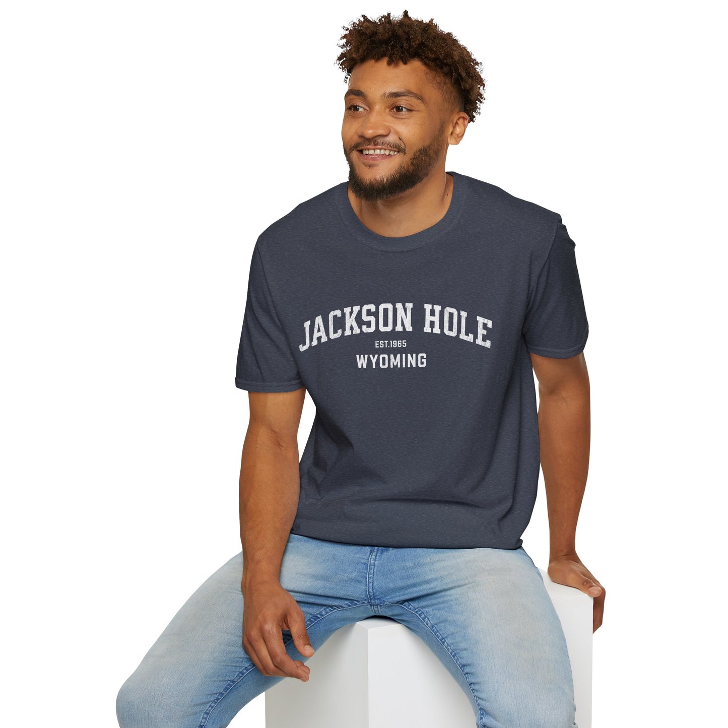 Jackson Hole Distressed Ski T-Shirt
