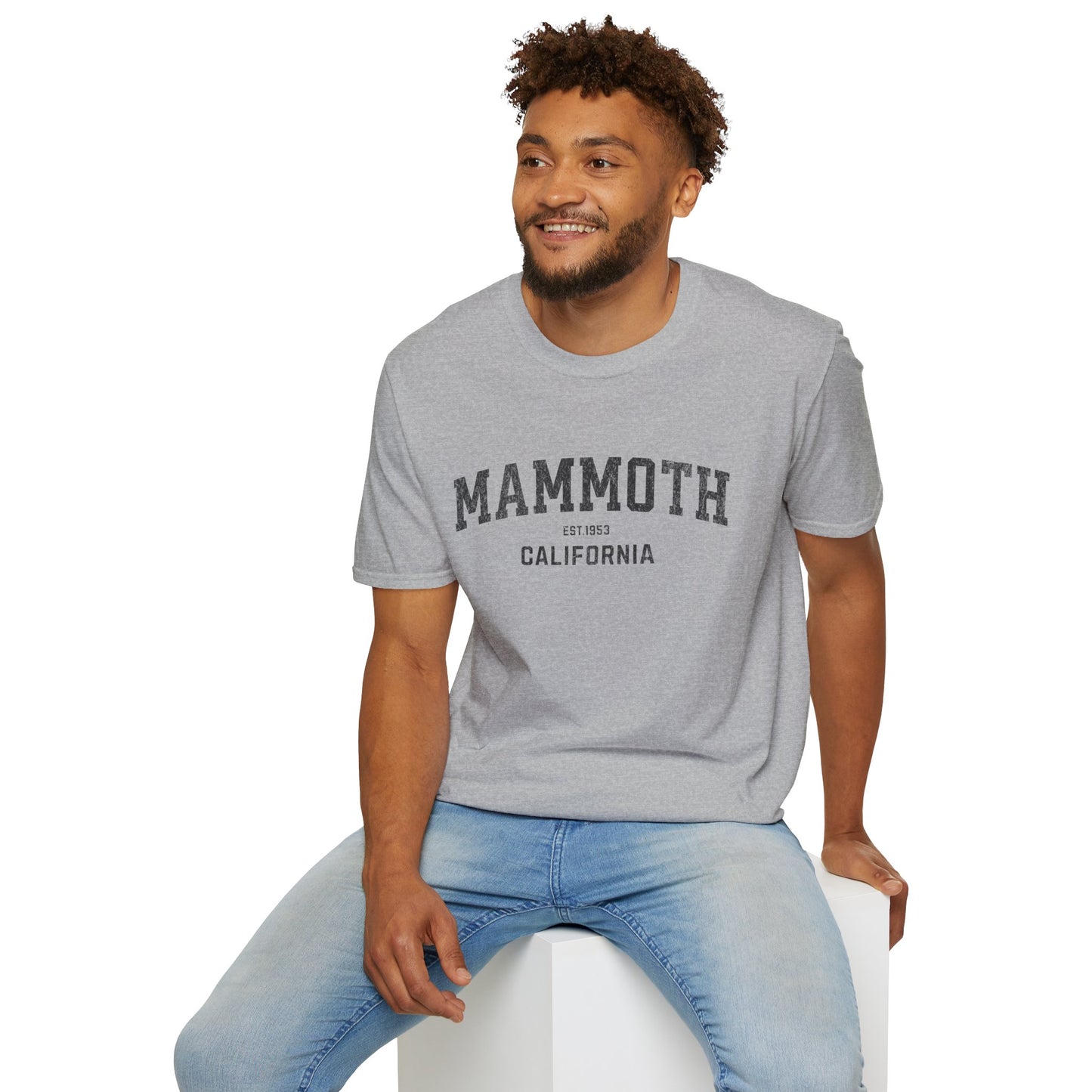 Mammoth Distressed Ski T-Shirt