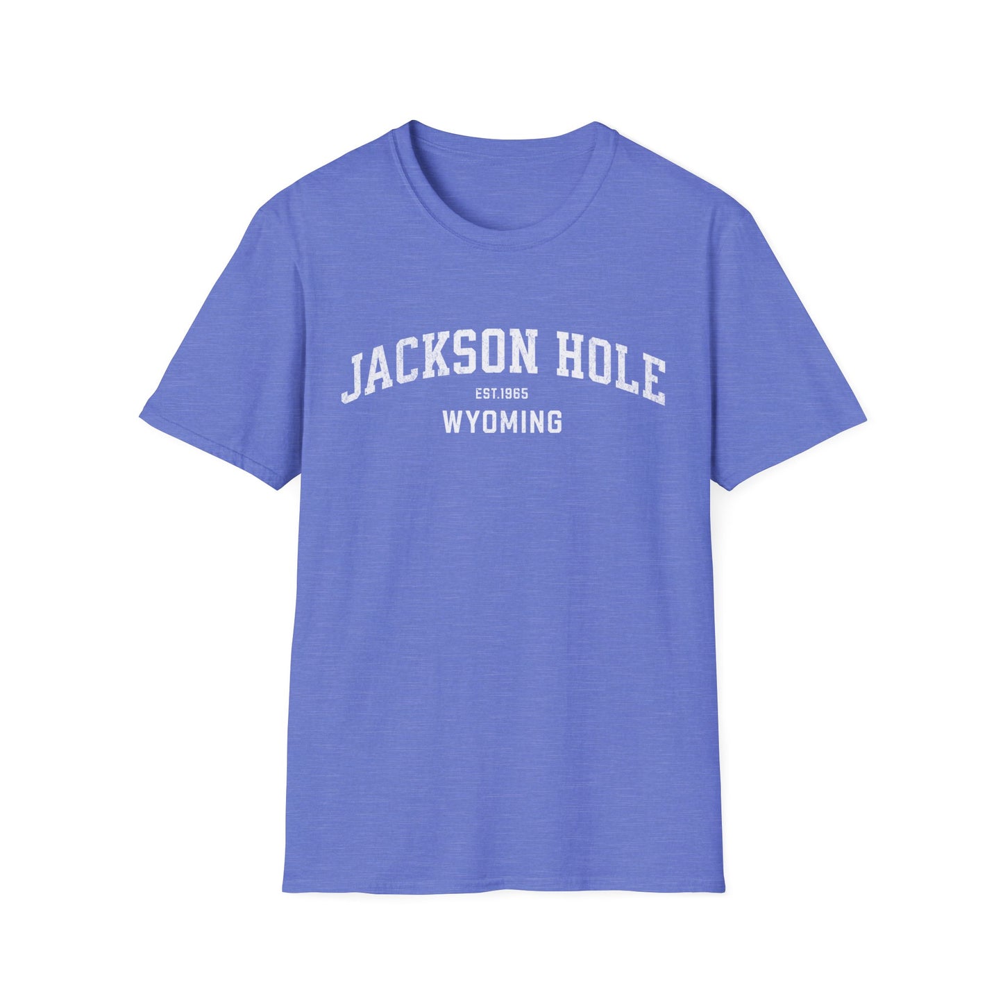 Jackson Hole Distressed Ski T-Shirt