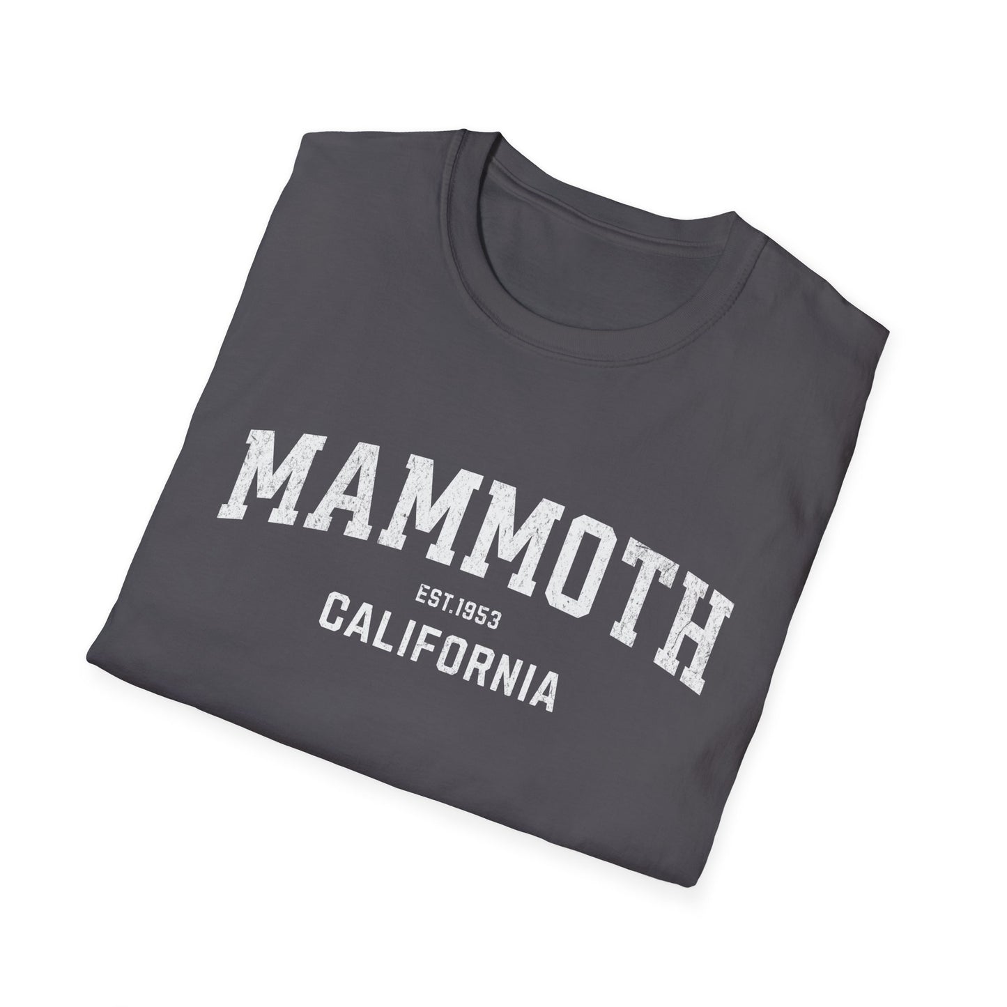 Mammoth Distressed Ski T-Shirt