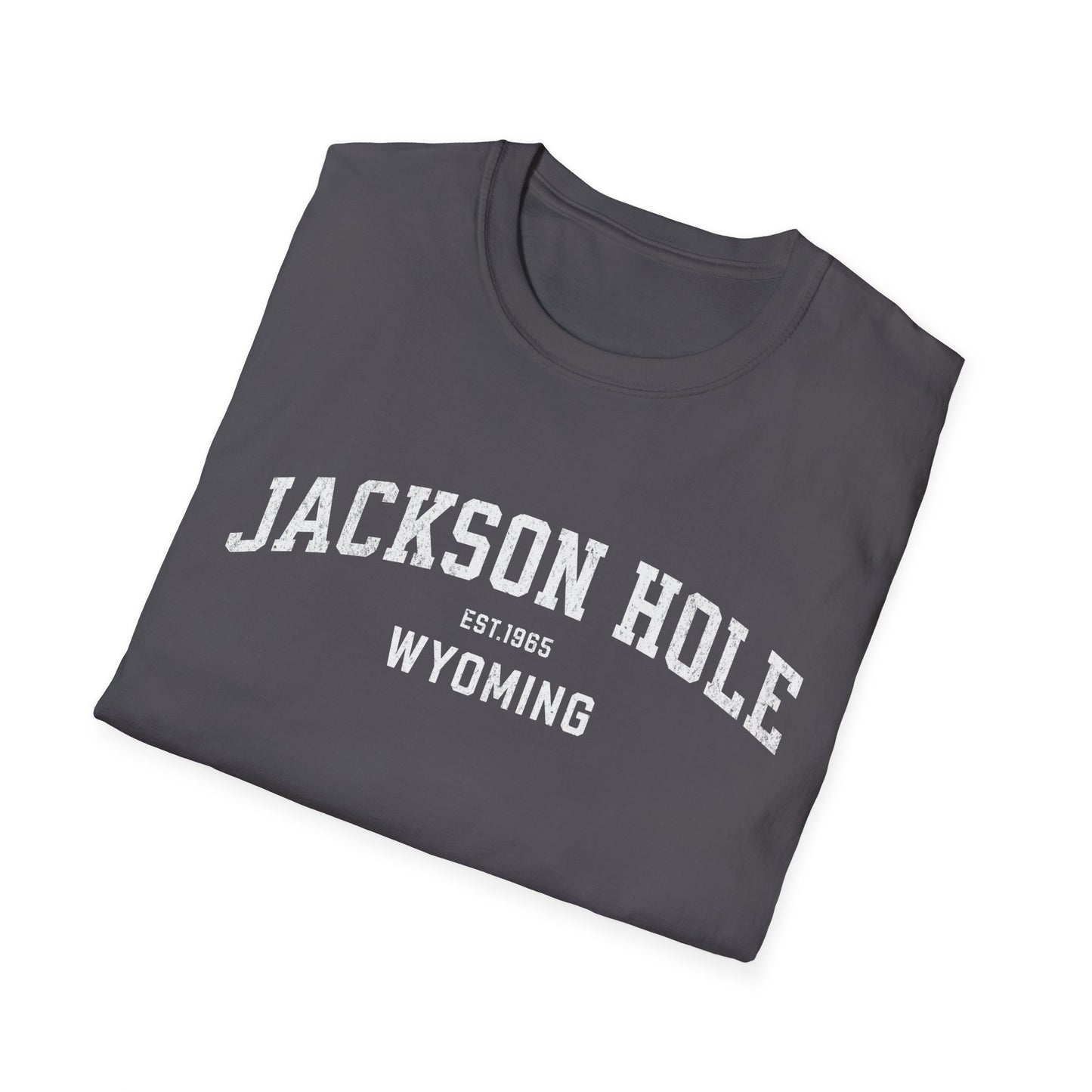 Jackson Hole Distressed Ski T-Shirt