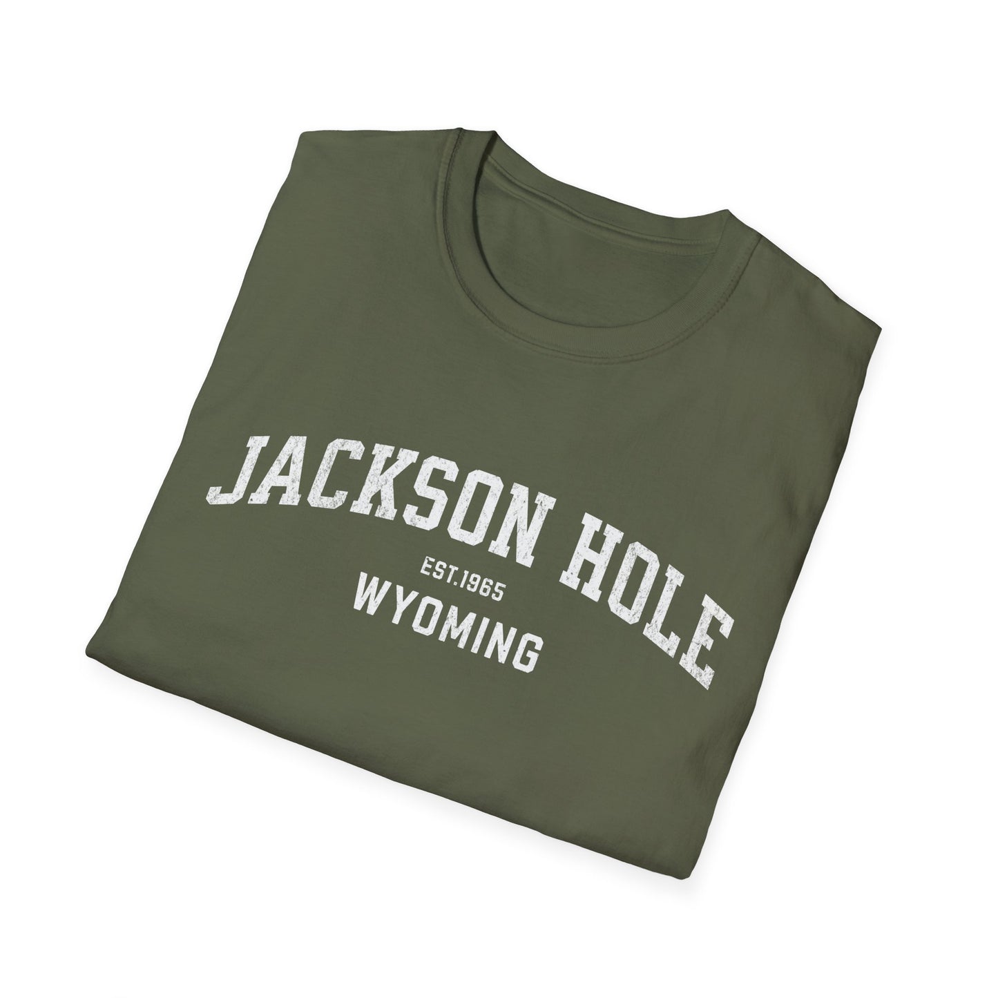 Jackson Hole Distressed Ski T-Shirt