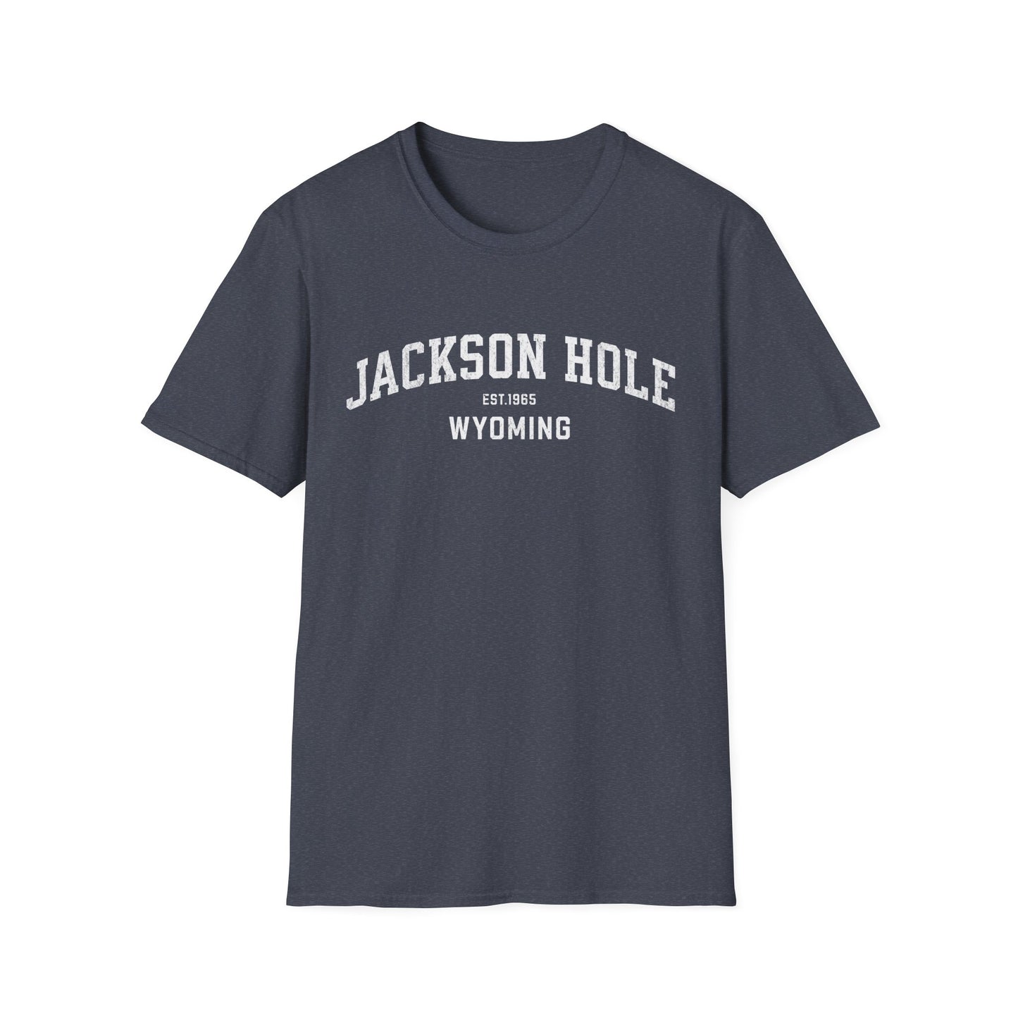 Jackson Hole Distressed Ski T-Shirt