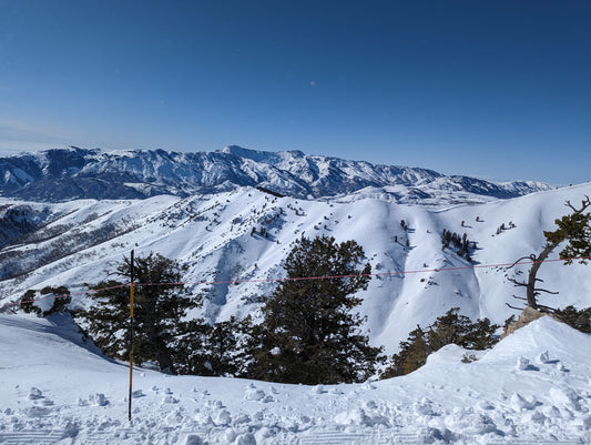 Powder Paradise: Ski 2023-24 Season's Grand Arrival with 11 Inches of Fresh Snow