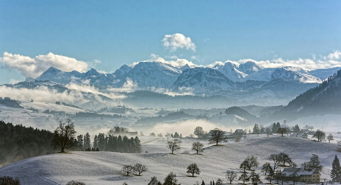 Alps From Distance with Trees