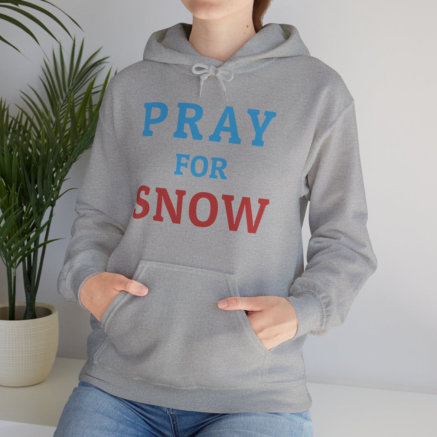 Pray For Snow Hooded Sweatshirt