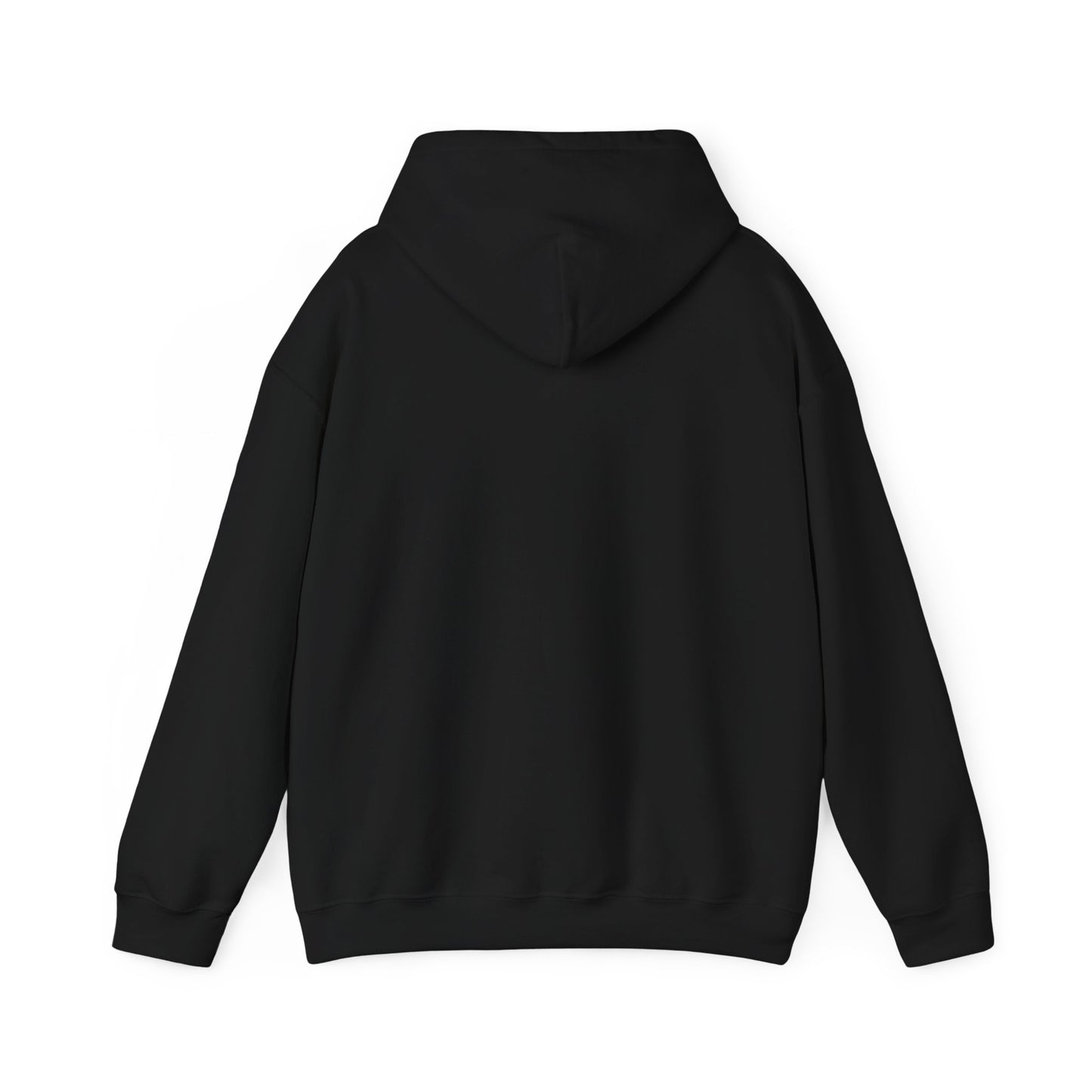 Colorado 1876 Hooded Sweatshirt
