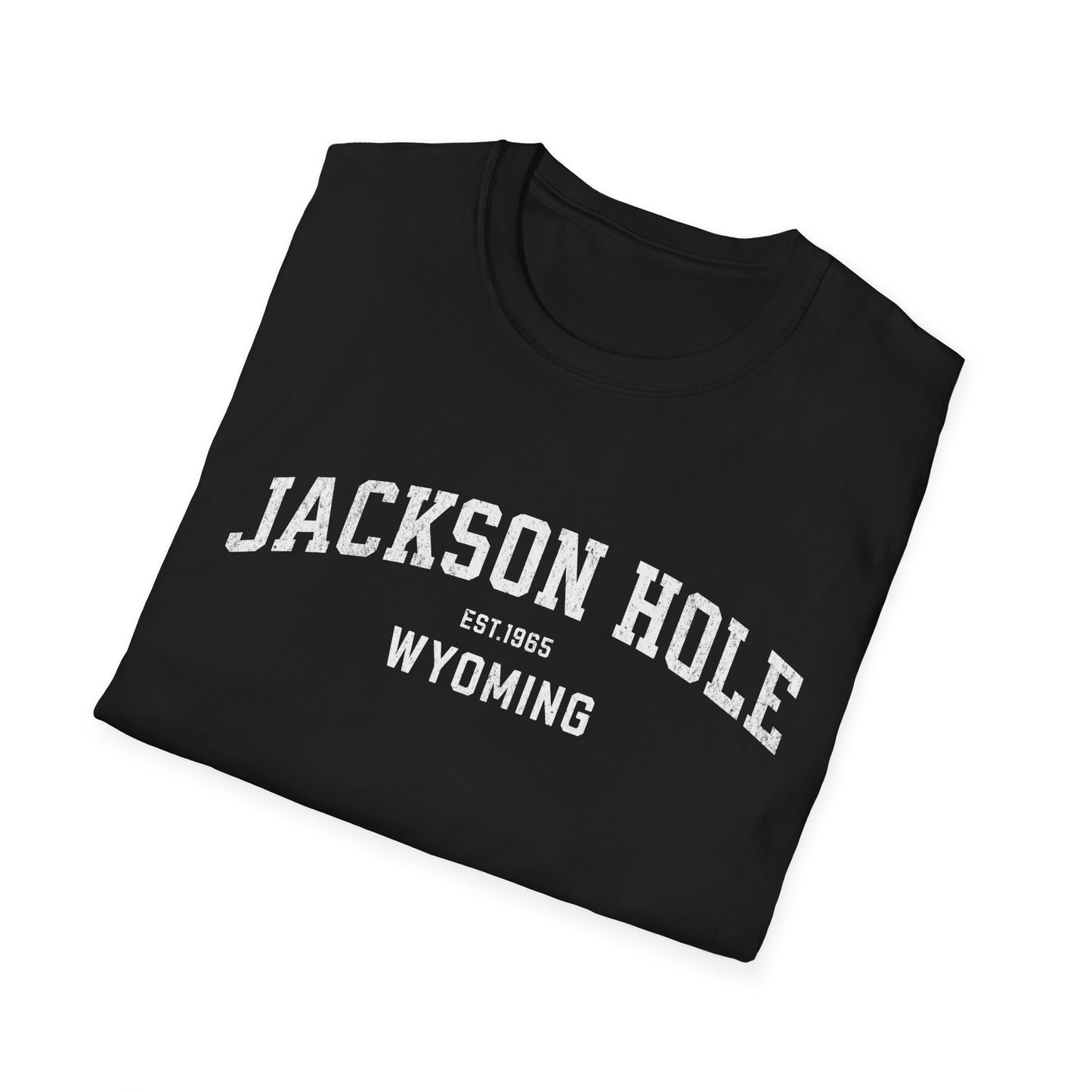 Jackson Hole Distressed Ski T-Shirt
