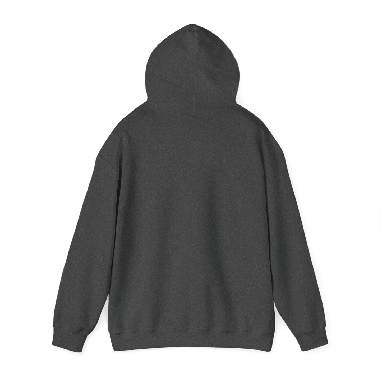 Pray For Snow Hooded Sweatshirt