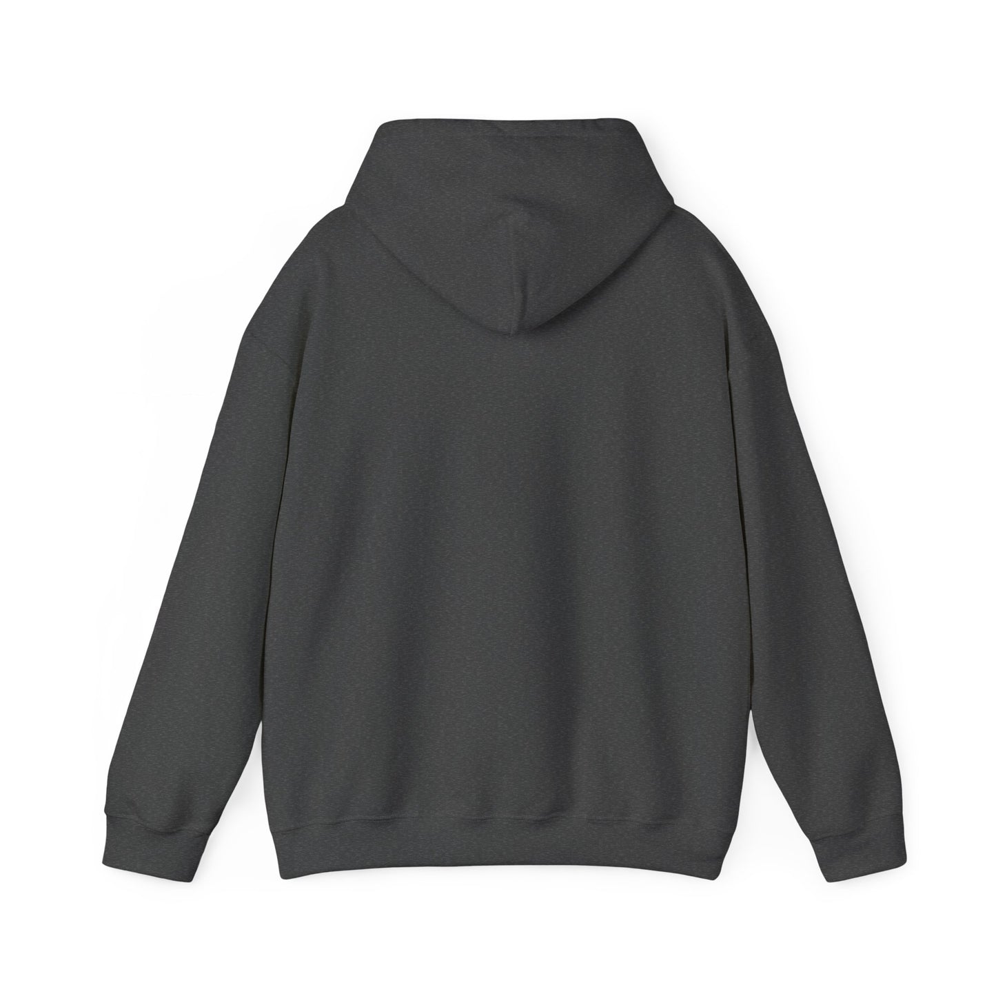 Colorado 1876 Hooded Sweatshirt