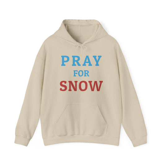 Pray For Snow Hooded Sweatshirt