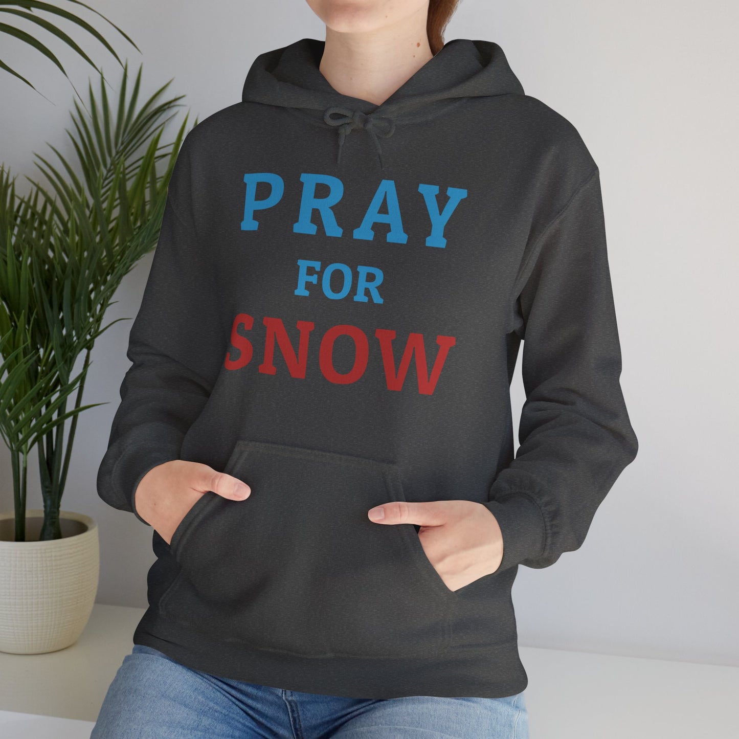 Pray For Snow Hooded Sweatshirt