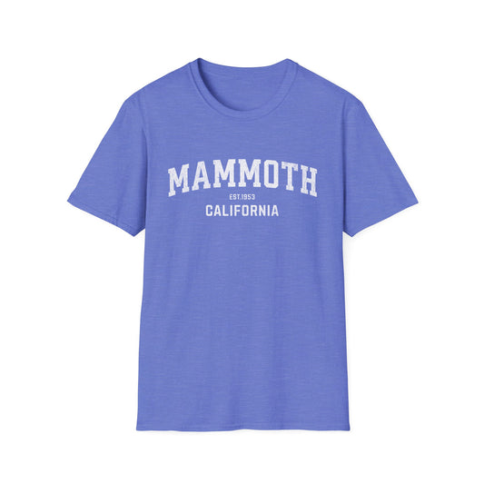 Mammoth Distressed Ski T-Shirt